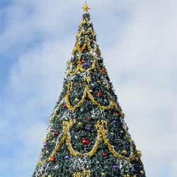 東京ディズニーシー