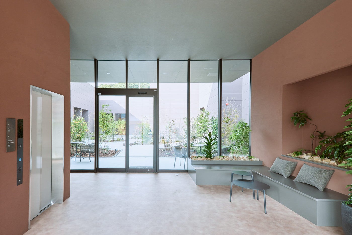 星の華／画像提供：ダイスプロジェクト