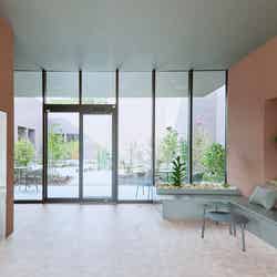 星の華/画像提供:ダイスプロジェクト