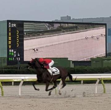 【地方競馬】大井 レガレイラの妹・アルガルヴェが初陣V