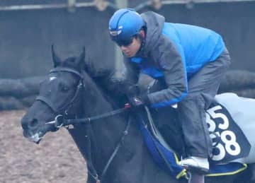 【共同通信杯】北村友一＆斉藤崇師 ベレシートと夢再び 北村友「この馬とクラシックにいけたら」母は元相棒・クロノジェネシス