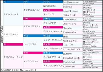 【大阪杯】タガノデュード “エイシン”から受け継がれた成長力とパワー 充実一途のヤマカツエース産駒に期待