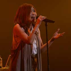 RAM WIRE・ユーズ