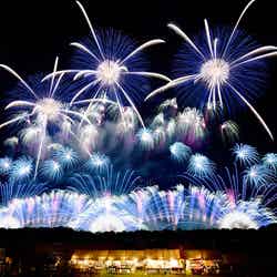 株式会社紅屋青木煙火店/画像提供:東京花火大祭制作委員会