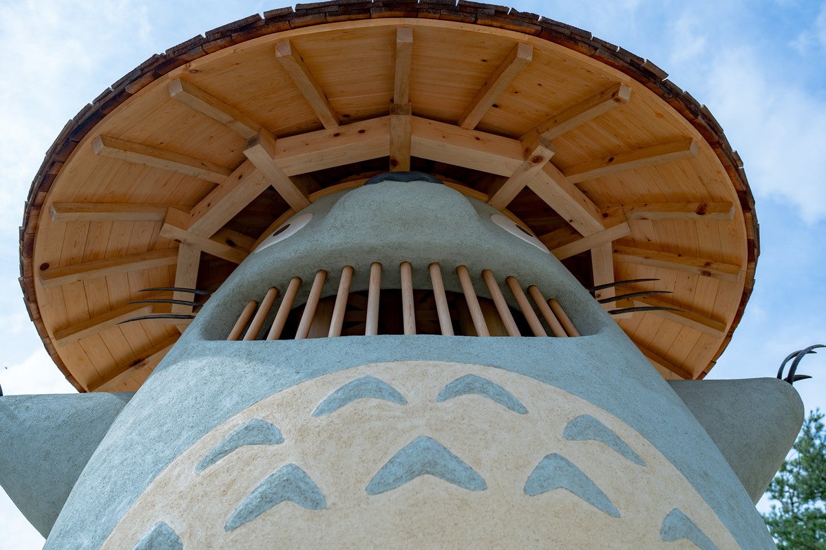 どんどこ森（C）Studio Ghibli