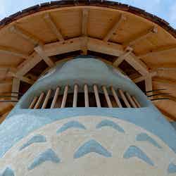 どんどこ森(C)Studio Ghibli