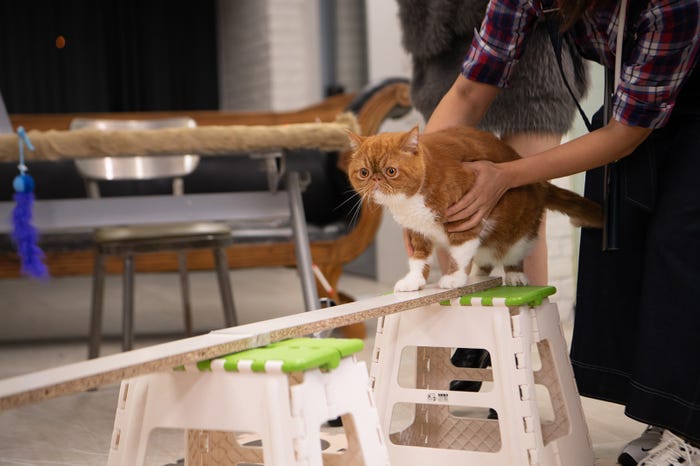 くりちゃん(C)テレビ大阪