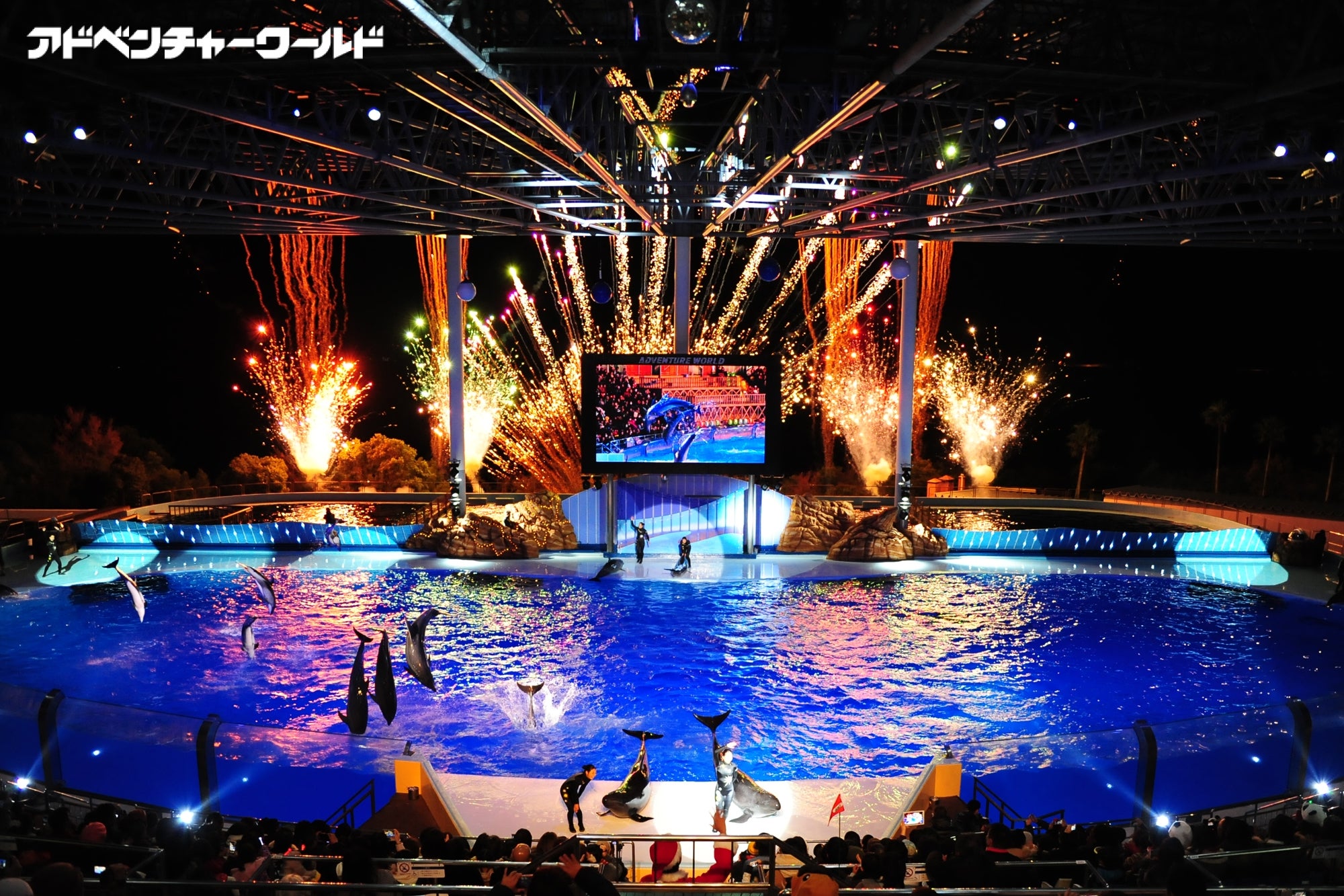 アドベンチャーワールドで「ウィンターナイト」初開催、動物と過ごす特別な冬／画像提供：アドベンチャーワールド