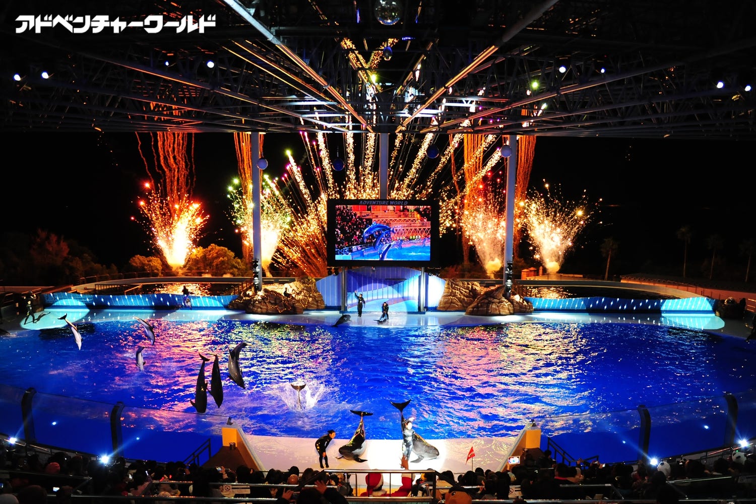 アドベンチャーワールドで「ウィンターナイト」初開催、動物と過ごす特別な冬