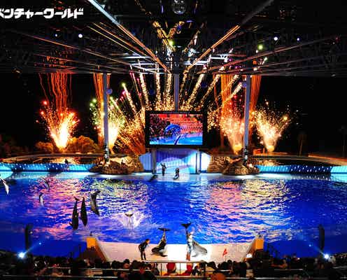 アドベンチャーワールドで「ウィンターナイト」初開催、動物と過ごす特別な冬