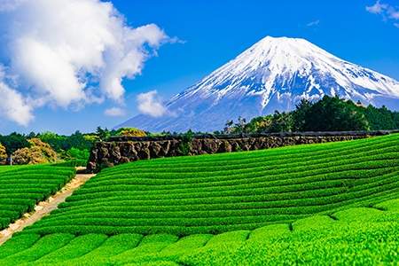 「静岡県」