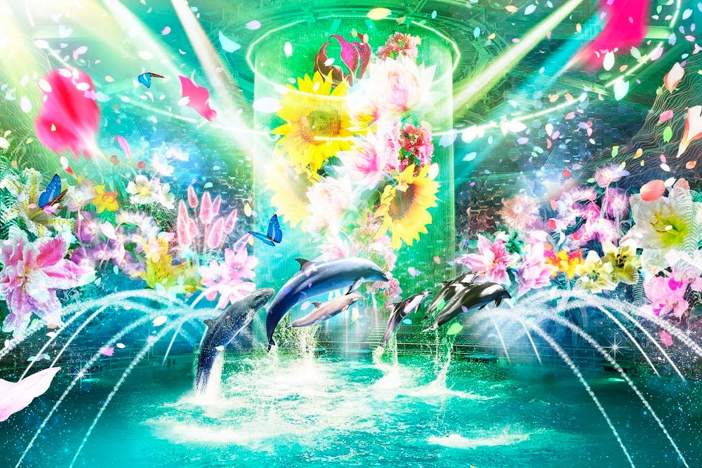 マクセルアクアパーク品川で「フラワーアクアリウム」花・光・海の世界が調和する“初夏の絶景”