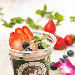 「トロピカルセンセーション」580円/画像提供:アイランドヴィンテージコーヒージャパン