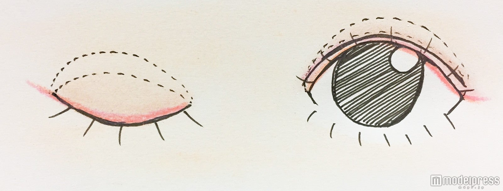 アイライナーは細めに／写真：Cecil Inoue（C）モデルプレス