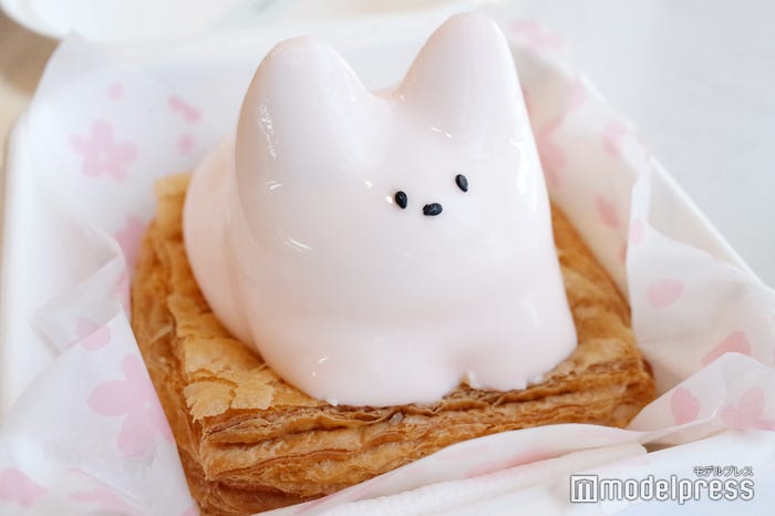 (C)モデルプレス