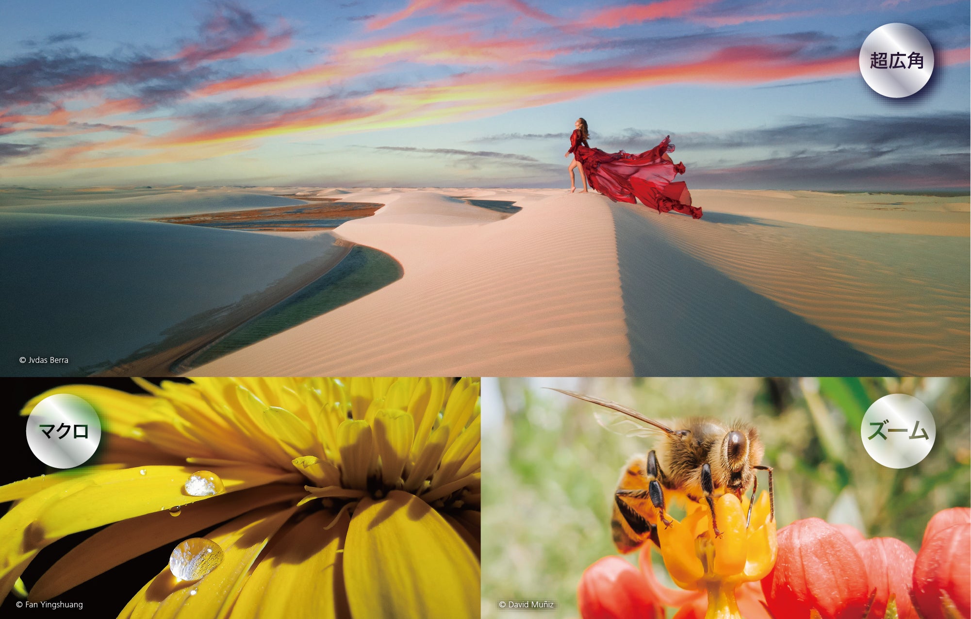 従来のスマホでは難しかった超広角撮影も思いのまま