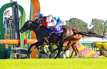 秋華賞Vのモンローウォークの次走は来年3月のドバイターフに決定
