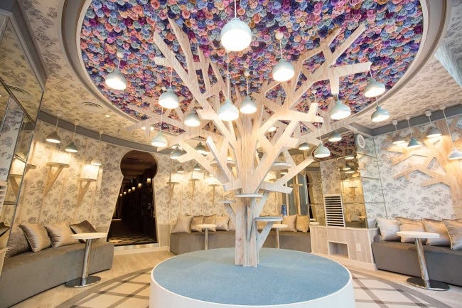 猫カフェMoCHA 原宿竹下通り店／画像提供：モカ