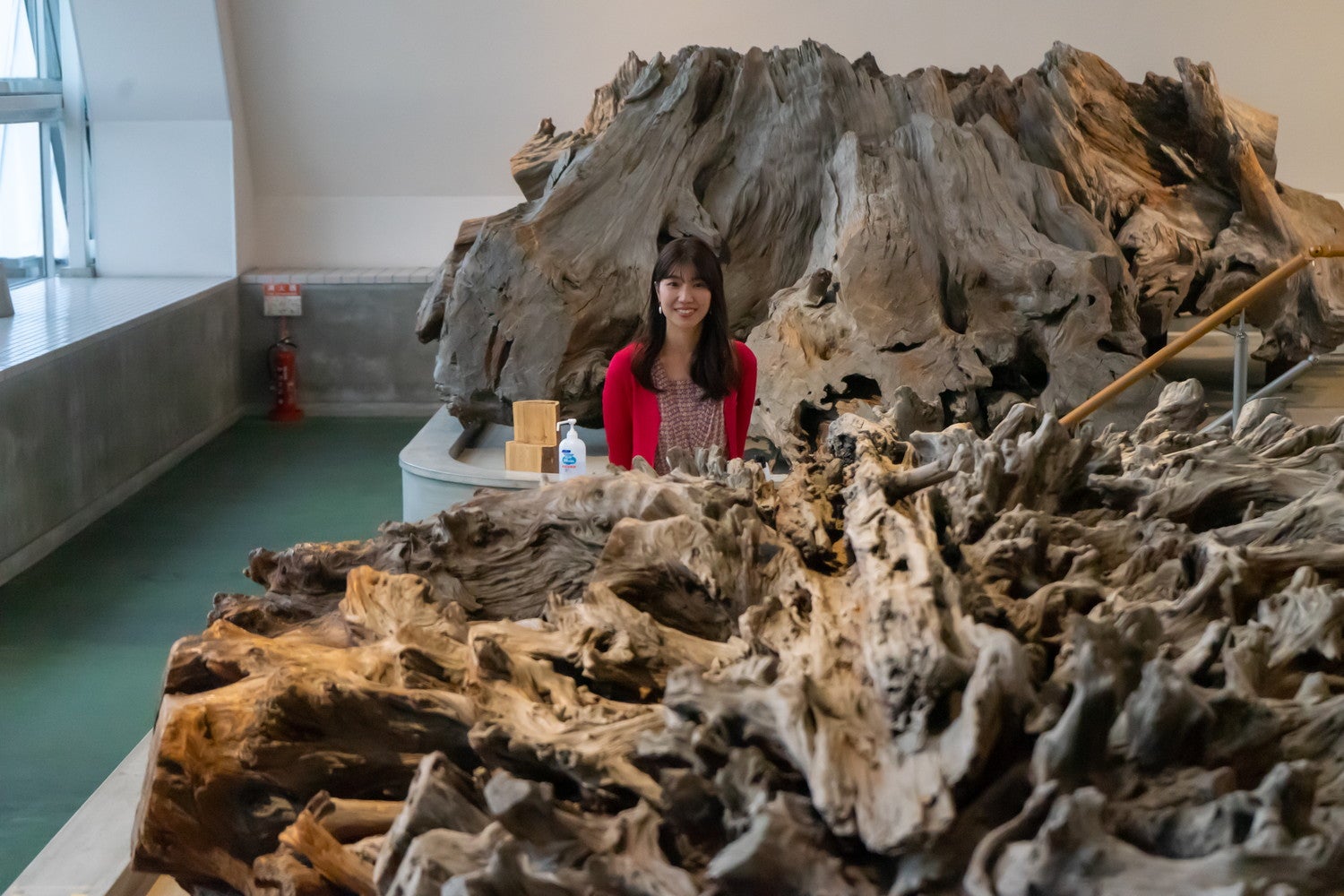 魚津埋没林博物館／提供画像