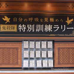 腹ごなしに鬼殺隊特別訓練ラリー(有料)もおすすめ(C)モデルプレス