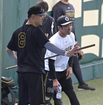 阪神・石井が1軍合流 「左アキレス腱の断裂」から復帰