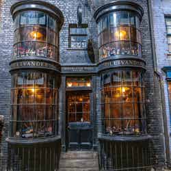 オリバンダーの杖店/‘Wizarding World’ and all related names, characters and indicia are trademarks of and (C) Warner Bros. Entertainment Inc. – Wizarding World publishing rights (C) J.K. Rowling.