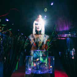 UNDER WATER SPACE/画像提供:UWS ENTERTAINMENT