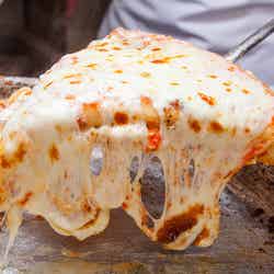 スポンティーニ/提供画像