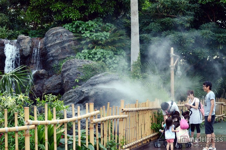 「クールスポット」スイスファミリー・ツリーハウス横