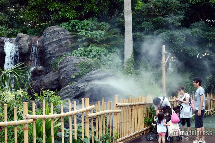 「クールスポット」スイスファミリー・ツリーハウス横