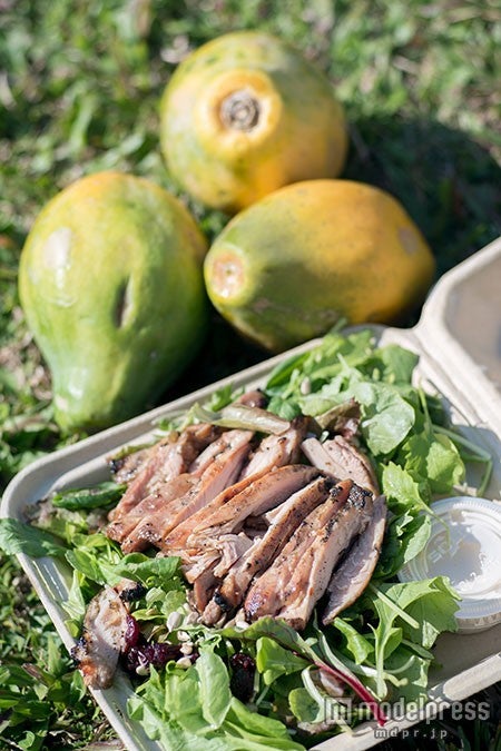 「Honolulu Farmers Market」のチキンサラダ（8,00ドル）／Photo by 内田恒（Hisashi Uchida）