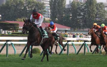 【札幌2歳S】圧倒的1番人気のショウナンガレオンが6馬身差の圧勝で重賞初V 鮫島駿「将来が楽しみになりました」