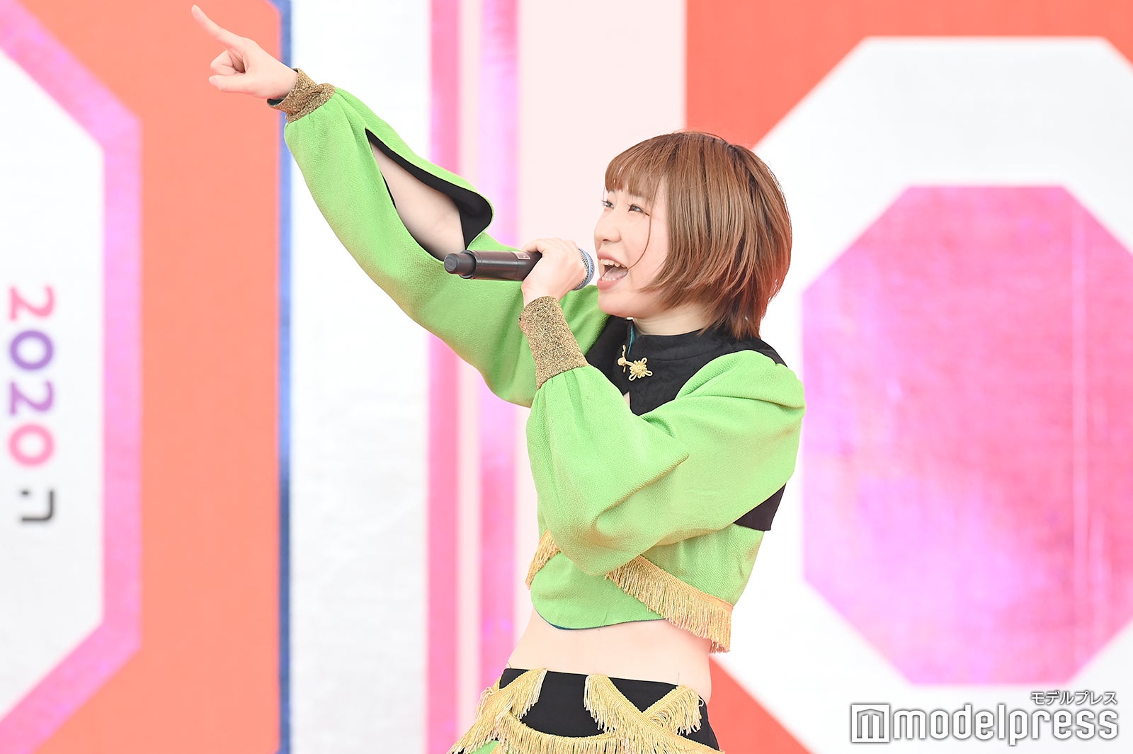 豆柴の大群（C）モデルプレス