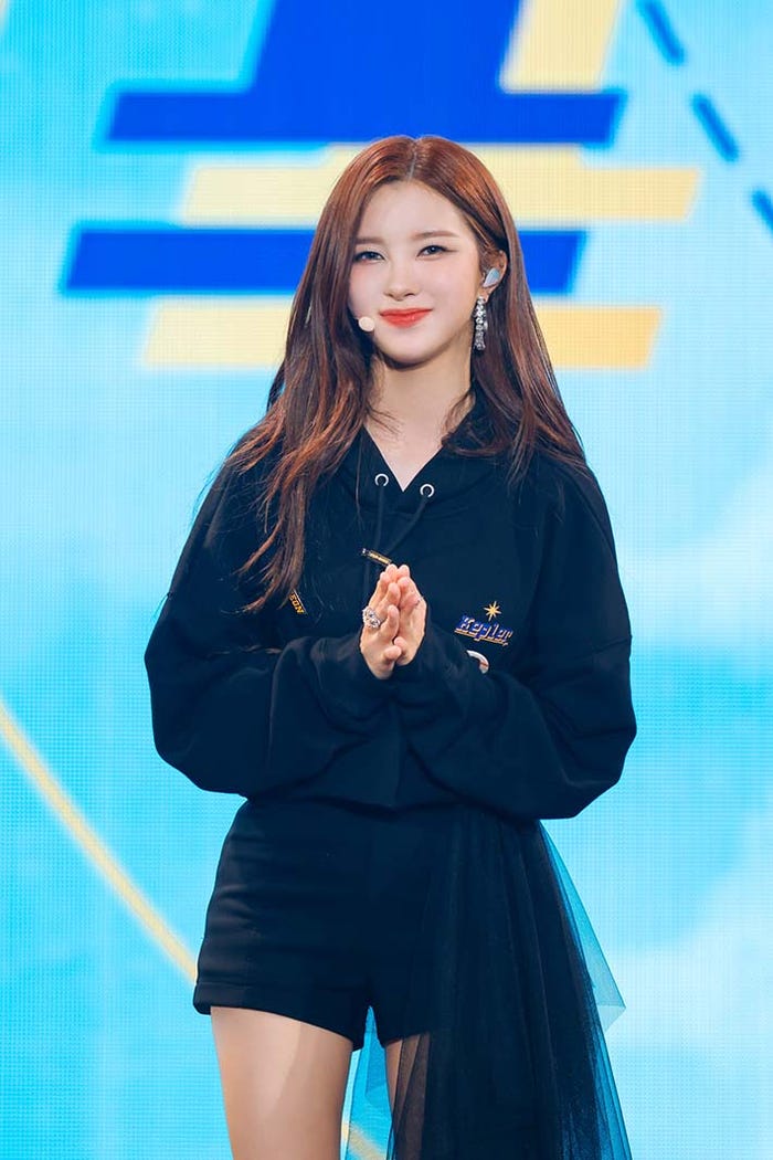 ダヨン(C)上山陽介/木村泰之