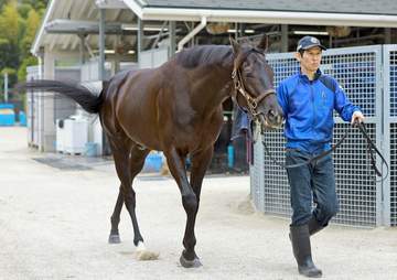 【宝塚記念】クロワデュノール1位 ファン投票最終結果発表 春3冠へ