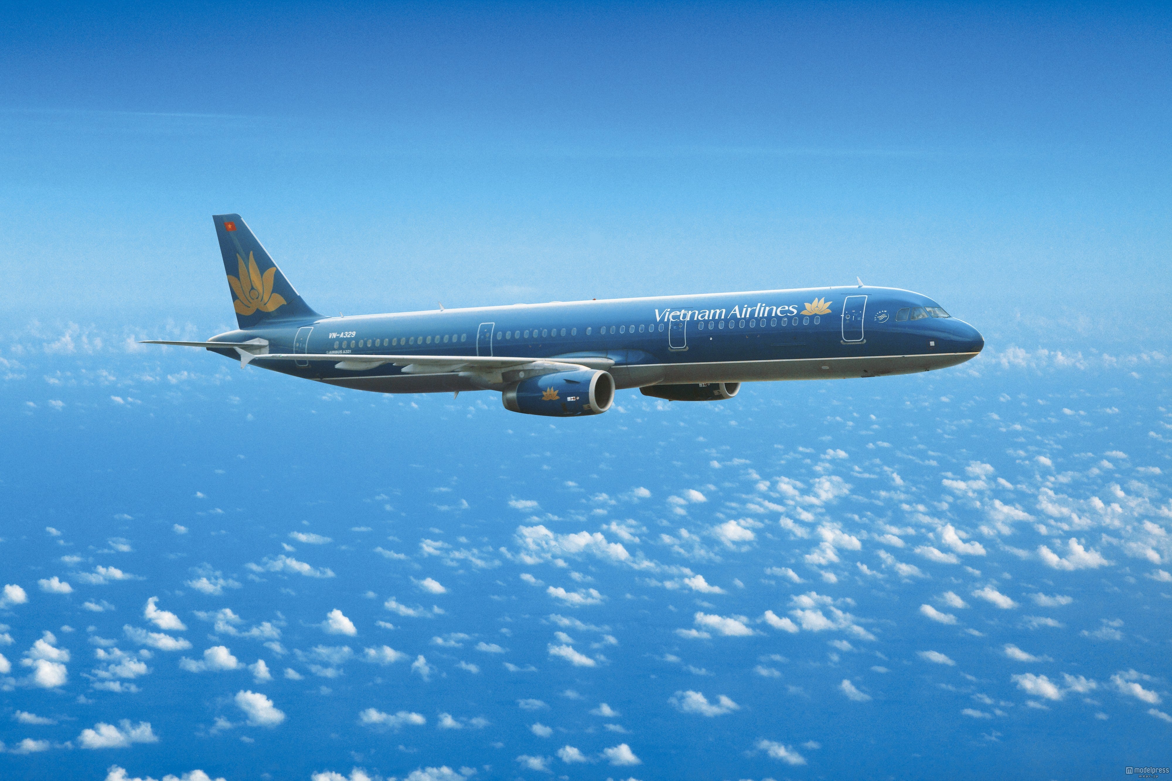 上品なロイヤルブルーのボディに蓮の花を品よくあしらった「ベトナム航空」の機体