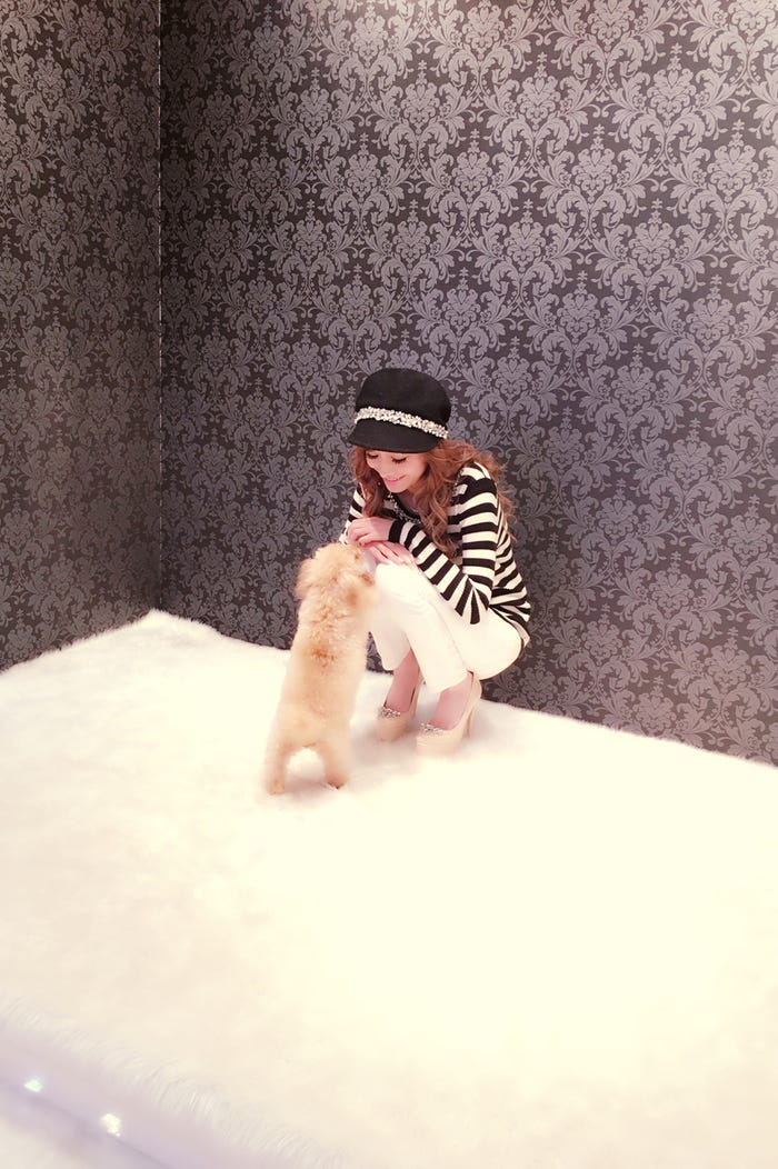 愛沢えみり&ティアラちゃん(画像提供:所属事務所)