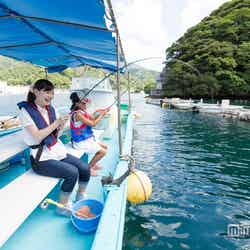 穏やかな海で魚釣りに夢中/画像提供:静岡県