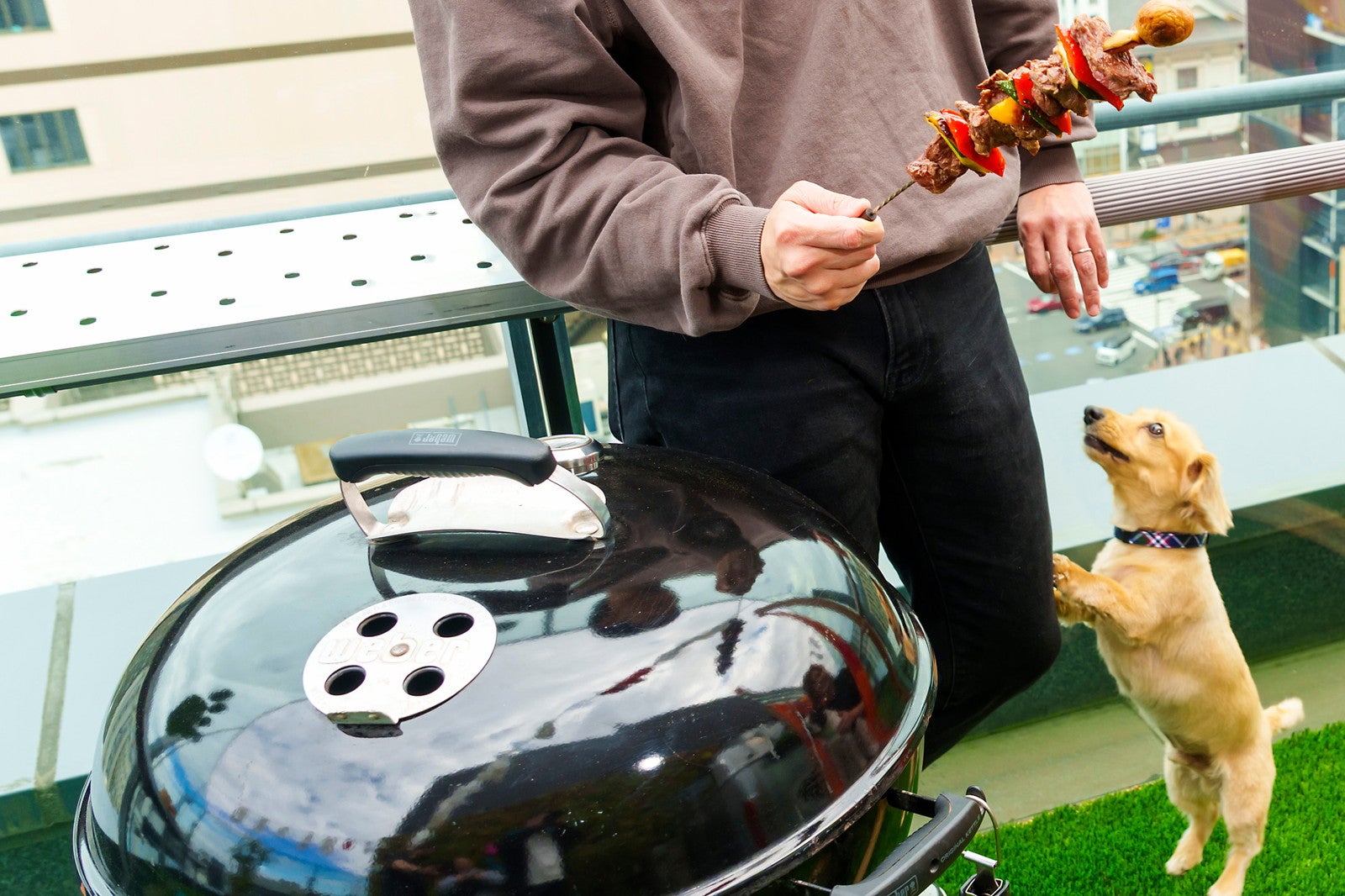 DOG RUN & BBQ Beer Garden／提供画像