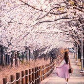 心理テスト 無人島に1つだけ持っていくなら 選んだものでわかる あなたの本当の性格 モデルプレス 心理テスト 無人島に1つだけ持っていくなら 選んだものでわかる あなたの本当の性格 モデルプレス