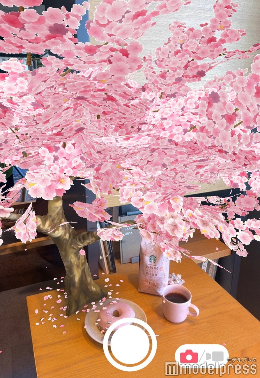 満開！ さくらの木 AR（C）モデルプレス