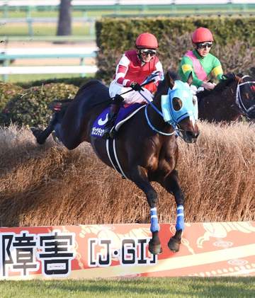 オジュウチョウサンが殿堂入り 障害馬では85年グランドマーチス以来2頭目 選定対象3年目、得票率86.6％