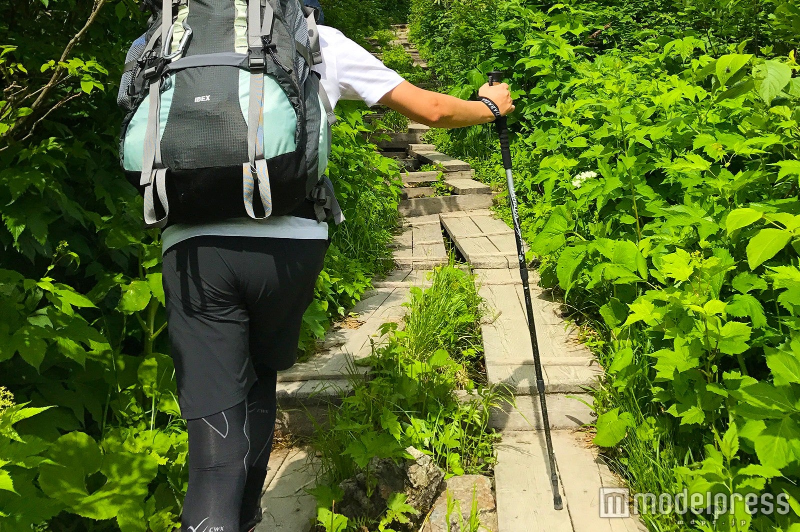 整備された木道を抜ける（C）モデルプレス