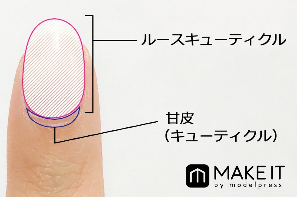 爪の甘皮処理 基本のやり方を解説 簡単セルフケアでネイル映えする指先に モデルプレス