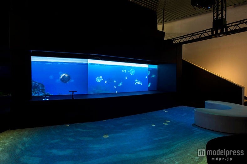 インタラクションエリア1 クラゲの海／画像提供：株式会社グランビスタ　ホテル＆リゾート