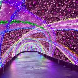 過去開催時の様子/提供画像