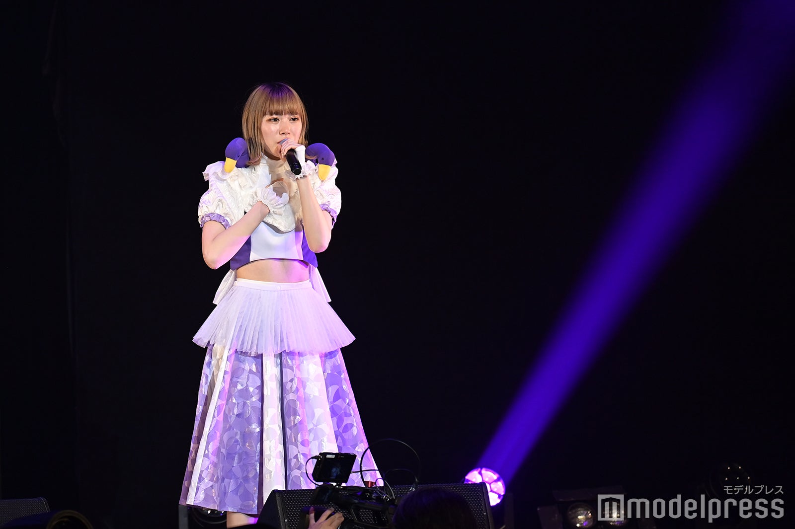 豆柴の大群（C）モデルプレス