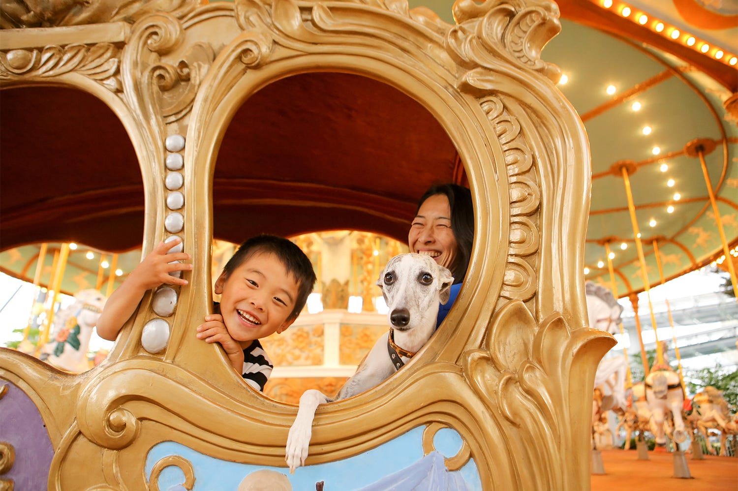 富士急、愛犬と一緒に乗り物を楽しめる「富士急わんランド」初開催