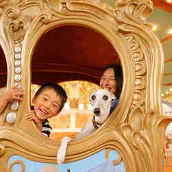 富士急、愛犬と一緒に乗り物を楽しめる「富士急わんランド」初開催/画像提供:富士急行