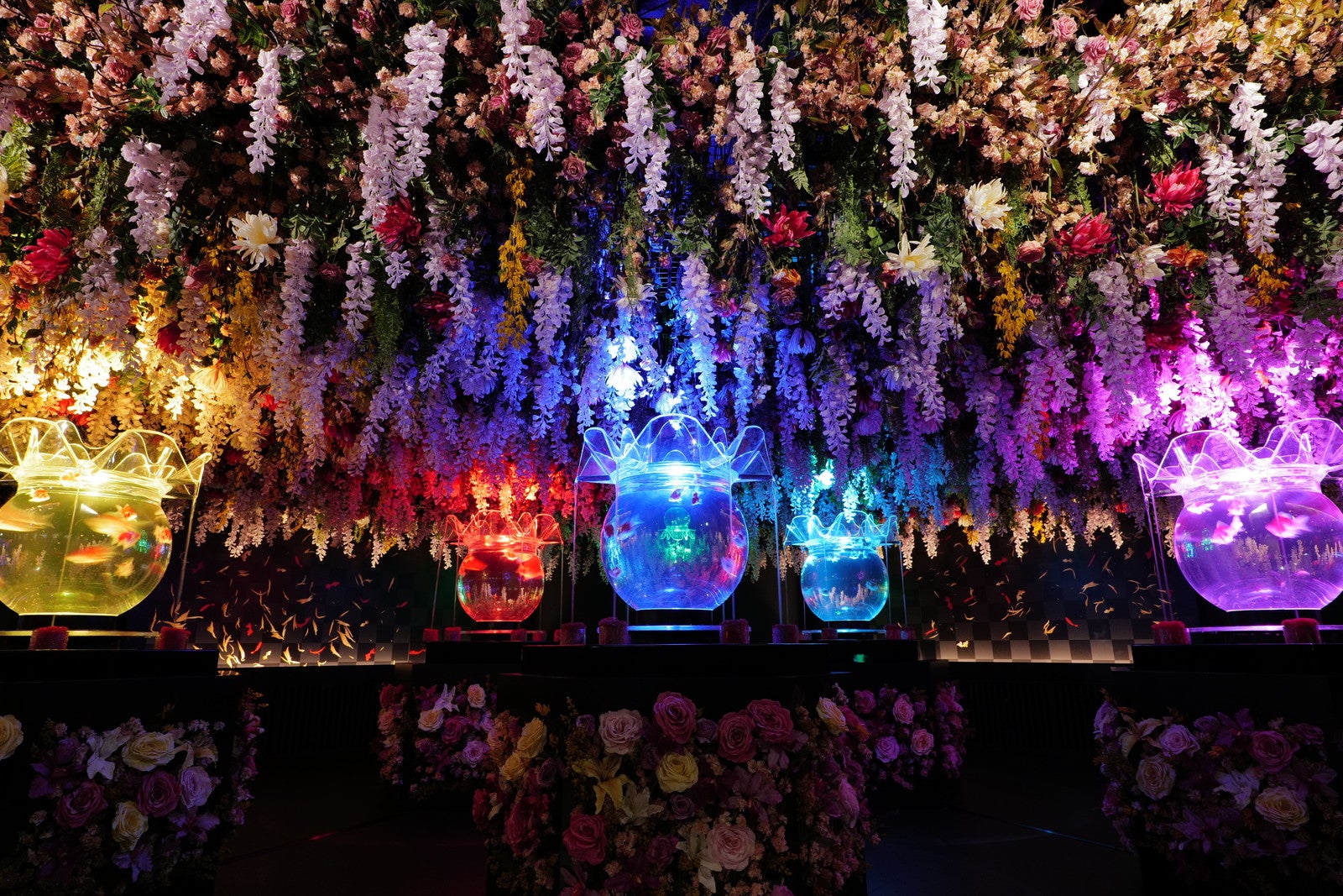 アートアクアリム美術館で特別企画“華映え金魚祭”　夏らしい幻想景色にうっとり